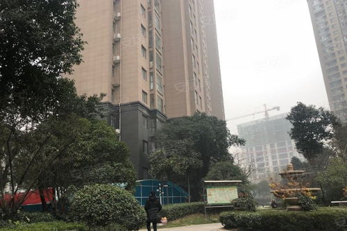 上海灘華府優點 不足,上海灘華府怎么樣,上海灘華府周邊房產中介經紀人評價