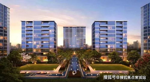 揭秘 上海 真實報道 火遍整個上海